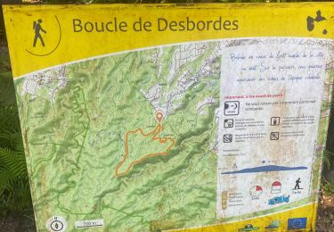 Trail Trail Petit-Bourg - Tambou - Photo