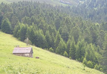 Randonnée Marche Artigue - Artigue par la cabane du plan Bosc et la cabane de Saunères - Photo