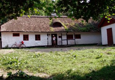 Tour Zu Fuß  - Gul rute - Photo