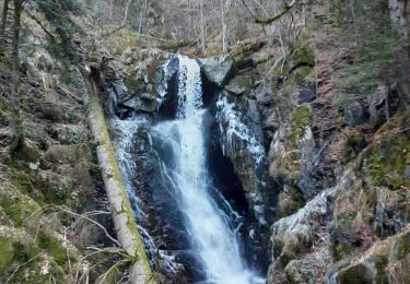 Tour Wandern Linthal - lac lauch - Photo