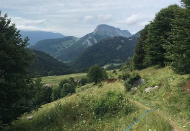 Trail Walking Doucy-en-Bauges - Doucy Mont Trelod  - Photo