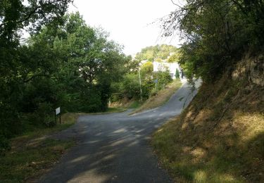 Trail Walking Penne-d'Agenais - La randonnée de Penne d'agenais- Lot et Garonne  - Photo
