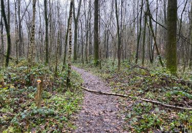 Trail Walking Maldegem - Kleit 22,5 km - Photo