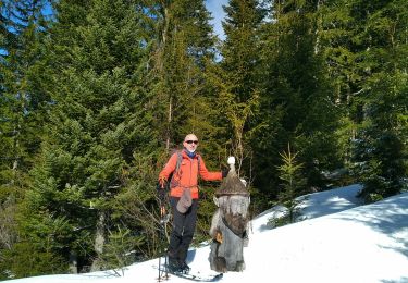 Trail Touring skiing Ormont-Dessous - les mosses/pra croset - Photo