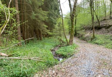 Tour Wandern Rochefort - Jemelle 22 km - Photo