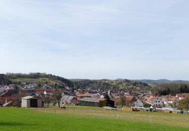 Percorso A piedi Gutsbezirk Kaufunger Wald - Premiumweg P 9 Wacholderpfad - Photo