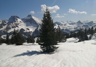 Trail Snowshoes Glières-Val-de-Borne - rochers de lechaux - Photo