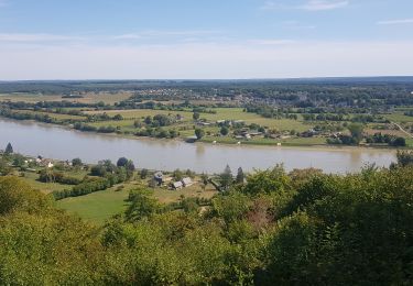 Trail Mountain bike Rives-en-Seine - foret de britnnes - Photo