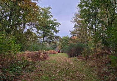 Trail Walking Fère-en-Tardenois - Rando-Santé Fère en Tardenois le tour des bassins simple - Photo