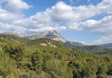 Tocht Stappen Le Tholonet - Tholonet le lac Zola, barrage Bimont - Photo