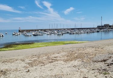 Randonnée Marche Sarzeau - Saint Gildas 1 juin 2022 CA  - Photo