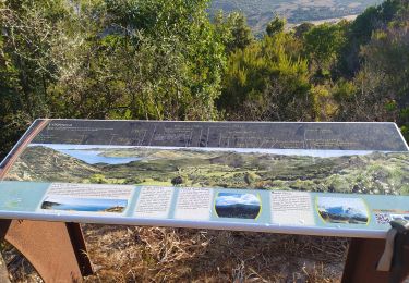 Tour Wandern Villanova - variante de la bomba  - Photo