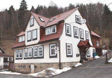 Tocht Te voet Masserberg - Rundwanderweg - Photo