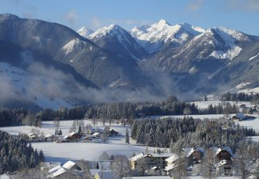 Tocht Te voet Ramsau am Dachstein - Leitenrundweg - Photo