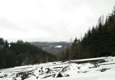 Trail Walking Houffalize - Nadrin-Berismenil-Nadrin - Photo