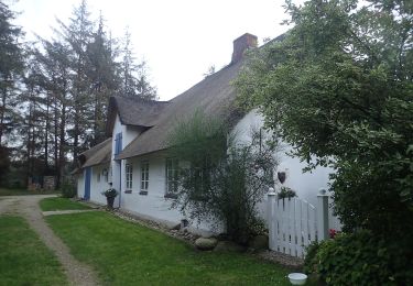 Tour Zu Fuß Leck - Teichweg - Photo