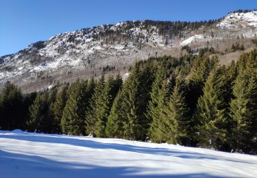 Trail Walking Doucy-en-Bauges - Bauges 2021 : Doucy-en-Bauge (Cul du Bois) - Crête du Mont Julioz (-12-20).ori - Photo