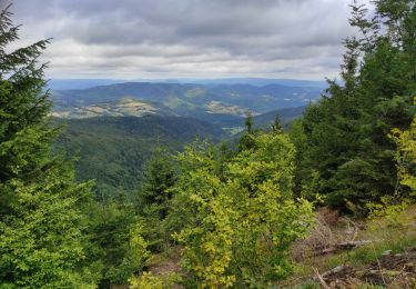 Tocht Stappen Sainte-Marie-aux-Mines - Bagenelle  - Photo