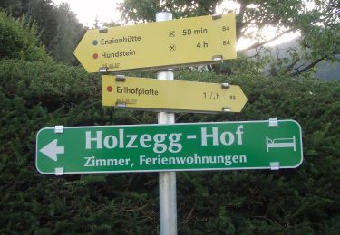 Tocht Te voet Zell am See - Grafleiten-Tour - Photo
