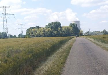 Trail Bicycle tourism La Charité-sur-Loire - La Charité sur Loire à Châtillon sur Loire  - Photo