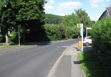 Tocht Te voet Fuldatal - Fuldatal-Simmershausen, Rundweg 2 - Photo