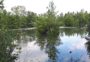 Tocht Stappen Mareuil-Caubert - Au travers des étangs  - Photo