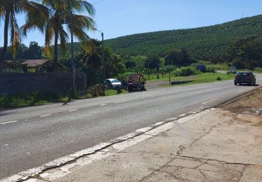 Tour Wandern Le Marigot - Boucle Pol Nord - Papin via Hbt Lagrange - Photo