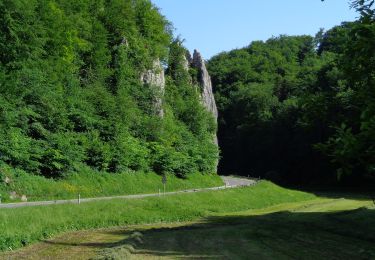 Randonnée A pied Gomadingen - DE-Gelbe Nebenlinie - Photo