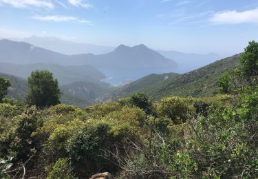 Trail Walking Osani - Girolata - Bocca di fuata - Photo