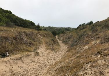 Tour Wandern Le Touquet-Paris-Plage - Sortie touquet bois retour dunes - Photo