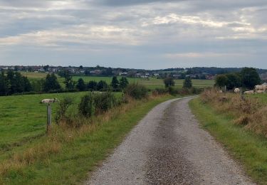 Trail Walking Sivry-Rance - Autour du Ry de Fromont - Photo