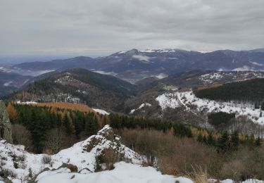 Trail Walking Geishouse - Geishouse abri Faucon de Grecerelle - Photo