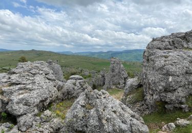 Tour Wandern Fraissinet-de-Fourques - Parc National Nimes-le-Vieux - Photo