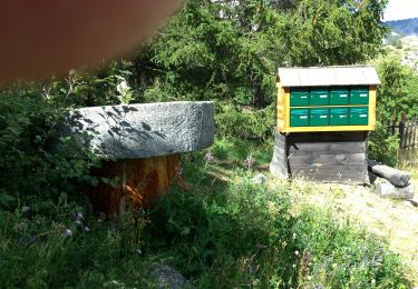 Tour Wandern Névache - Les lacs aramont. et du serpent - Photo