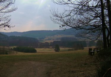Trail On foot Pottenstein - Püttlach-Hohenmirsbach - Photo
