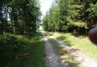 Trail Walking Theux - autour de Jehoster  - Photo