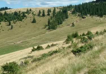 Trail On foot  - Pietroasa-Stâncile lui Hercules-Șaua Bohodei - Photo