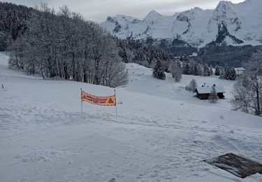 Tocht Sneeuwschoenen Le Grand-Bornand - Le Balcon des Aravis - Photo