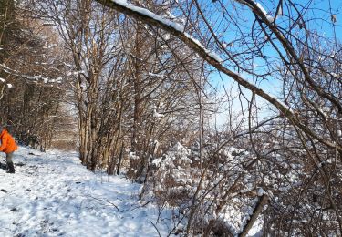 Tour Wandern Seyssinet-Pariset - Plateau Charvet en circuit - Photo