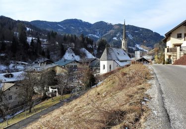 Randonnée A pied Dienten am Hochkönig - Dienten-Schneeberg-Mühlbach - Photo