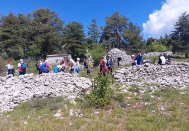 Randonnée Marche Caussols - caussols - Photo