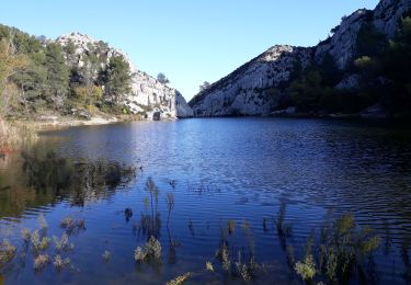 Trail Walking Saint-Rémy-de-Provence - Alpilles  - Photo
