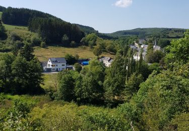 Tour Wandern Stauseegemeinde - Bavigne - Photo