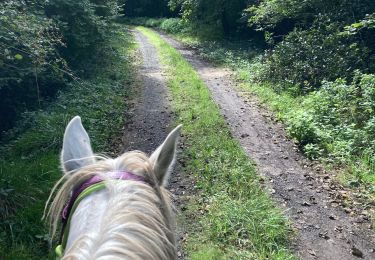 Trail Horseback riding Saint-Martin - Petit tour autour de la maison Vispa  - Photo