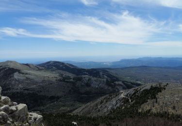 Trail Walking Saint-Vallier-de-Thiey - Montagne de Thiey par Canaux  - Photo