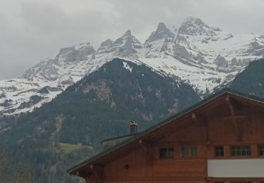 Excursión Carrera Champéry - Mental - Photo