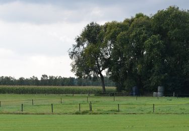 Tocht Te voet Olst-Wijhe - WNW Salland - Wesepe - rode route - Photo