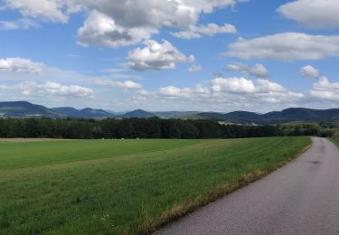 Excursión Bici eléctrica Docelles - deycimont lepanges - Photo