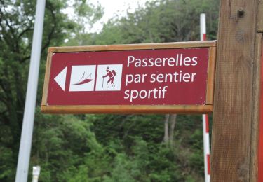 Tour Wandern Treffort - PF-Treffort - Mayres-Savel - Les Passerelles de Monteynard - Photo