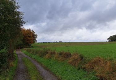 Trail Walking Marche-en-Famenne - Marche ADEPS Lignières - Photo